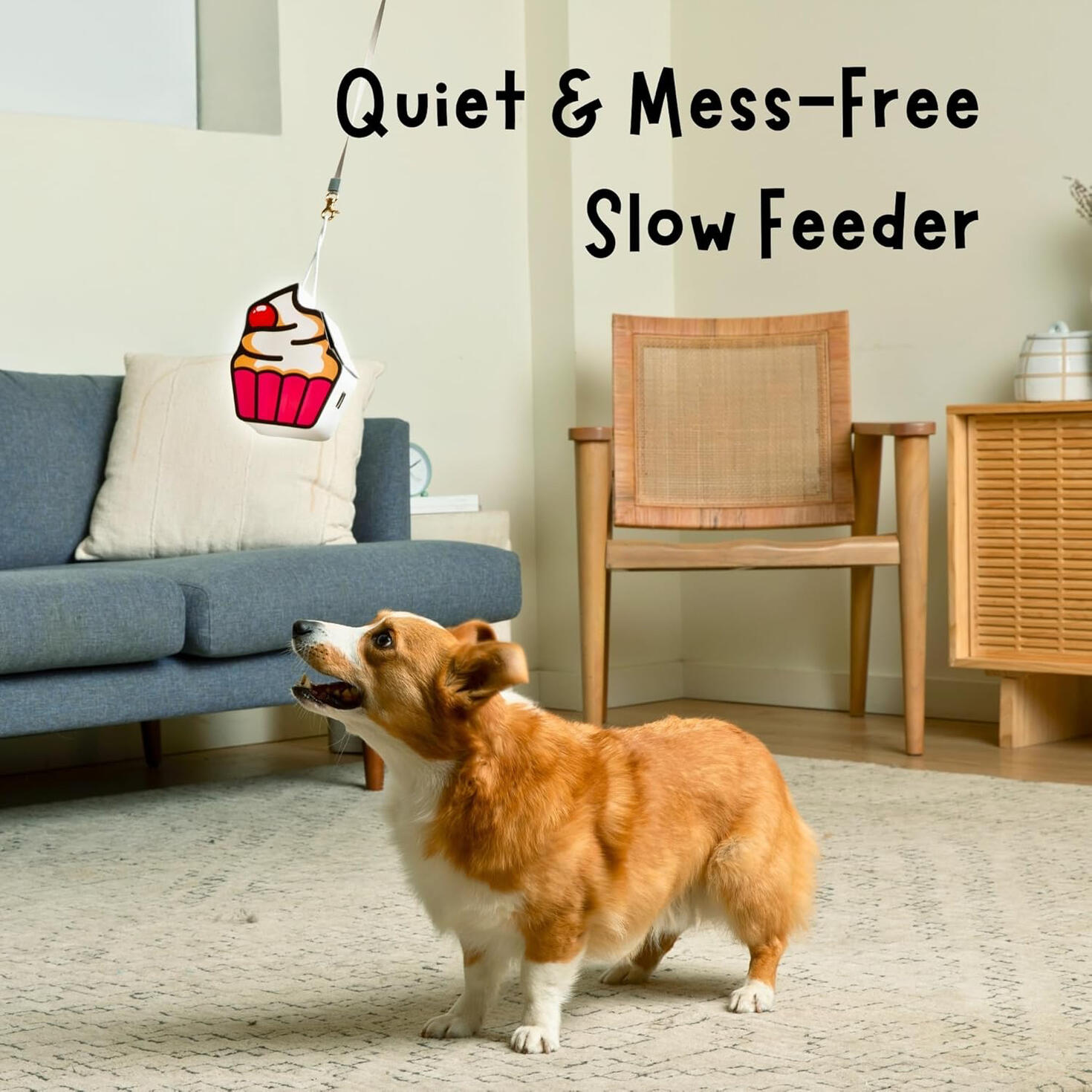 Dog's pinata Discount