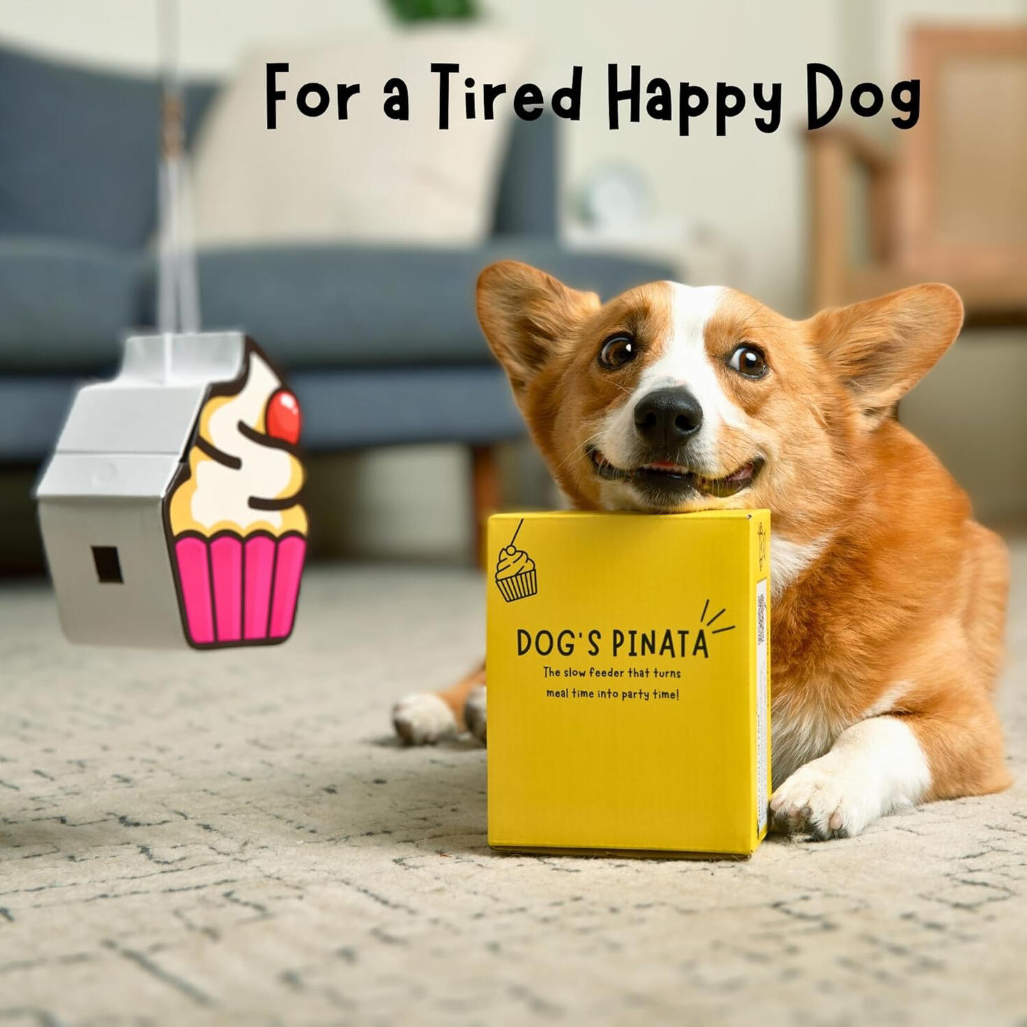 Dog's pinata Discount